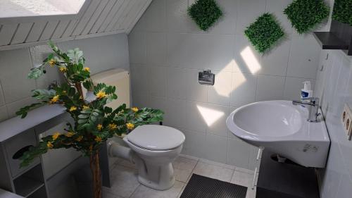 a bathroom with a white toilet and a sink at Saaler Pfandl Ferienwohnung zentral gelegen in Saal