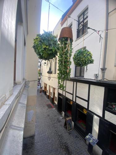 eine Gasse mit Topfpflanzen an der Seite eines Gebäudes in der Unterkunft Apartament in Brüssel