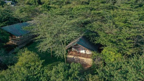 an overhead view of a house in the trees at Sentrim Mara Lodge in Ololaimutiek
