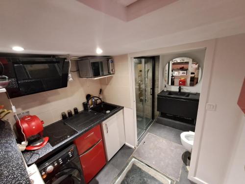 Il comprend une petite cuisine avec un lavabo et des toilettes. dans l'établissement petit appartement cosy, à Toulouse