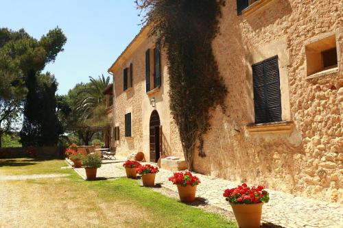 Κήπος έξω από το Oliver Moragues Grandhouse & Vineyard