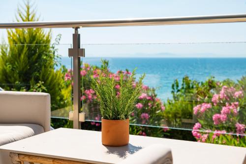 a potted plant sitting on a table in front of a window at Mare Dei Suites Hotel Ionian Resort in Skafidia