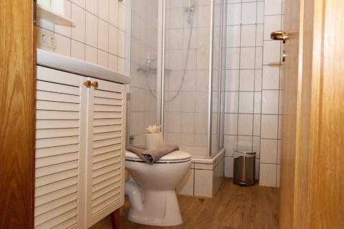 La petite salle de bains est pourvue d'une douche et de toilettes. dans l'établissement Likedeeler 5, à Zingst