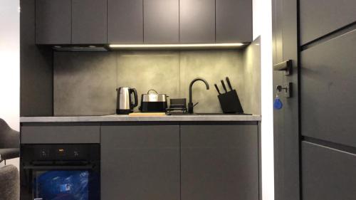 a kitchen with a sink and a stove at WARSZAWA CENTRAL HOUSE - Studios in Warsaw with Private Jacuzzi, full access to Sauna, Gym and Billards - Studia z prywatnym Jacuzzi oraz dostępem do sauny, siłowni i bilarda in Warsaw