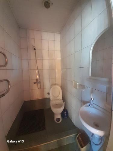 ein Badezimmer mit Toilette und Waschbecken in der Unterkunft Готель Загадка, Умань in Gorodnitsa