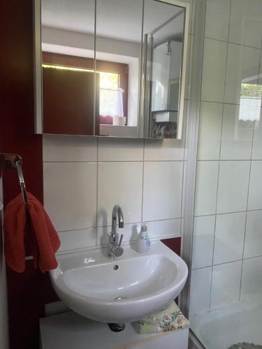 La salle de bains est pourvue d'un lavabo et d'un miroir. dans l'établissement Wassermühle, à Rheine