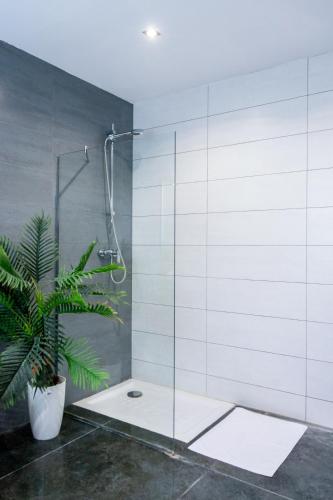 a shower stall with a plant in a bathroom at Luxurious Villa Marly II piscina climatizada in Castelldefels