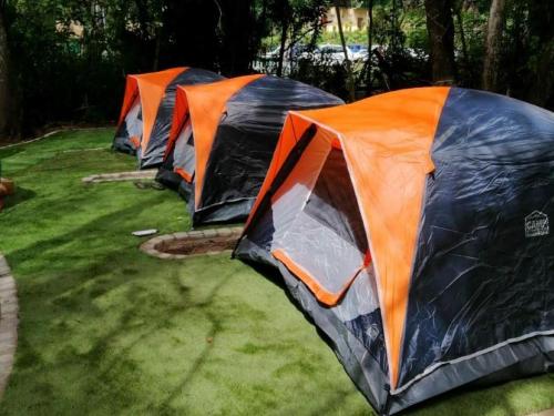 three tents are lined up in the grass at Gibaland in Pinetown