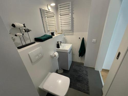 a white bathroom with a toilet and a sink at Piotrkowska Studio Apartments in Łódź