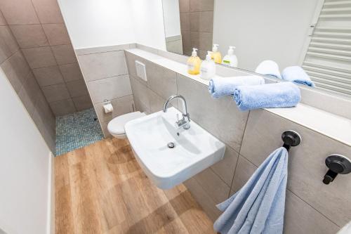 a bathroom with a sink and a toilet and a mirror at Steger-Hüs Wohnung 07 in Rantum