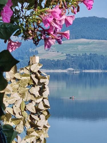 DOMEK Z POMOSTEM Frydman