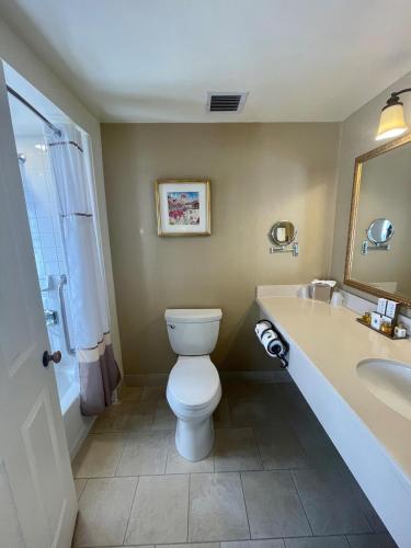a bathroom with a toilet and a sink at The Mission Inn Hotel and Spa in Riverside