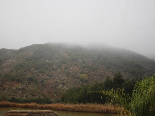 a mountain in the distance with fog on it at Emahlathini Guest Farm in Piet Retief