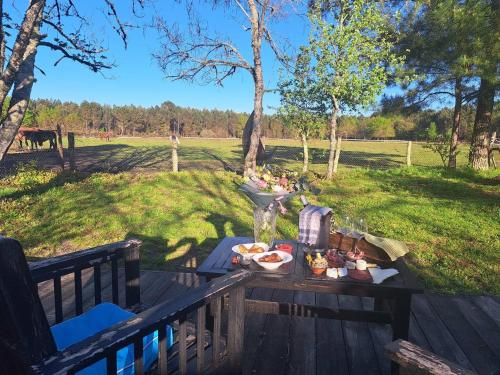 - un plateau de nourriture sur une table sur une terrasse dans l'établissement Domaine l'Orée du Marais, à Le Barp