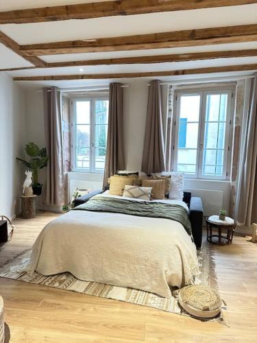 a bedroom with a large bed in a room with windows at LE NOUMÉA, T2, Hyper-centre, Square de la Paix in Mâcon