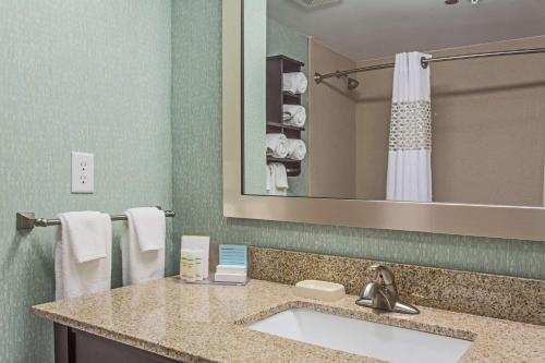 a bathroom with a sink and a mirror and towels at Hampton Inn Statesboro in Statesboro