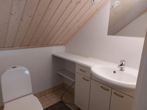 ein Bad mit einem WC und einem Waschbecken in der Unterkunft Lomasara in Kalajoki