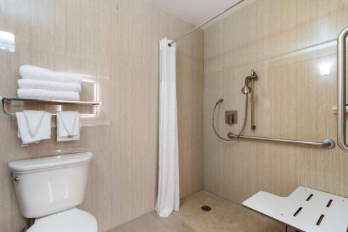 Koupelna v ubytování Best Western Plus Sparks-Reno Hotel