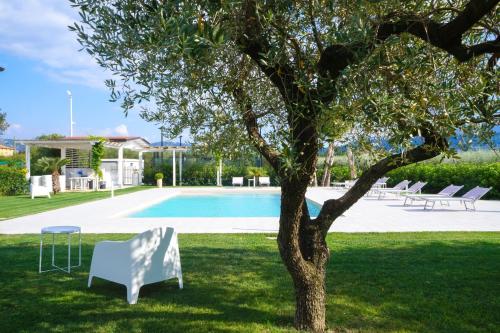 a tree in the grass next to a swimming pool at Biancolivo Country House in Altavilla Silentina