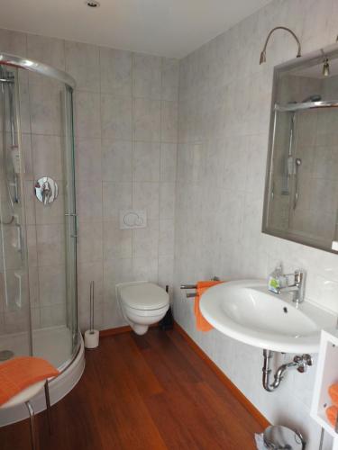 a bathroom with a toilet and a sink and a shower at Landhaus Goldenes Kreuz in Leutkirch im Allgäu