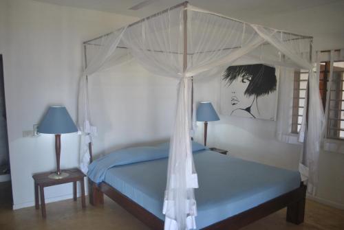 a bedroom with a bed with a canopy and two lamps at Villa Palissandre in Nosy Be