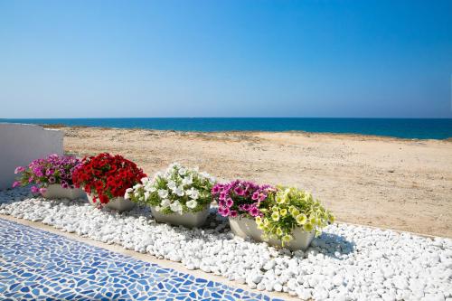 Appartamenti Fronte Mare – Photos 2