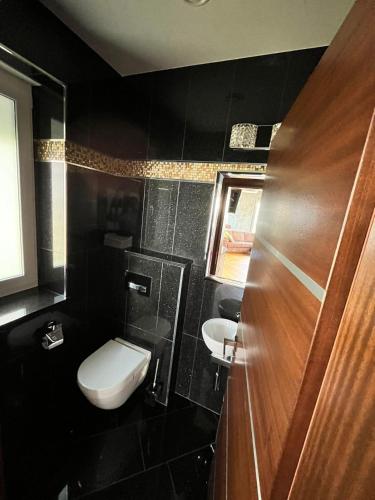 a small bathroom with a toilet and a sink at Auszeit am Dankernsee in Haren