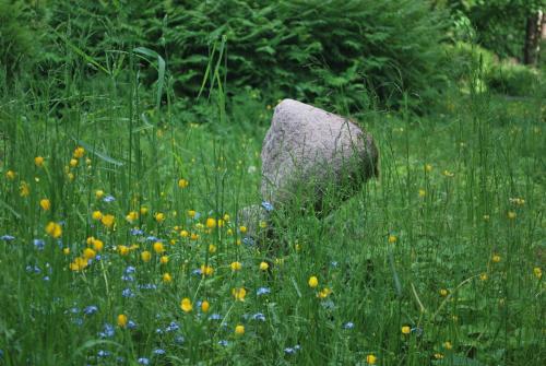 a rock in the middle of a field of flowers at Kirjakkalan Ruukkikylä in Teijo