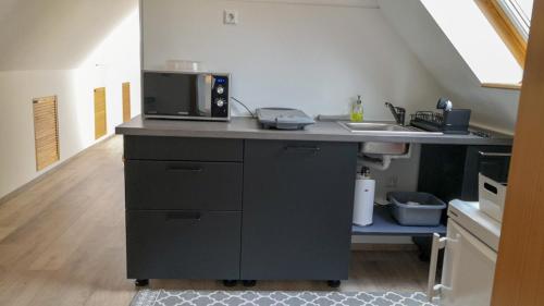 a kitchen with a counter with a microwave and a sink at FeWo Aachweg in Rielasingen-Worblingen