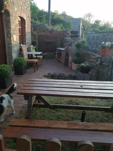 a wooden picnic table in a yard with a dog at 1 Bed cottage The Stable at Llanrhidian Gower with sofa bed for additional guests in Swansea