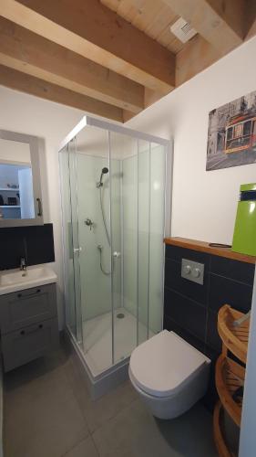 une salle de bain avec une douche avec des toilettes et un lavabo dans l'établissement Le 30 - Duplex en rez-de-jardin proche du centre, à Montélimar