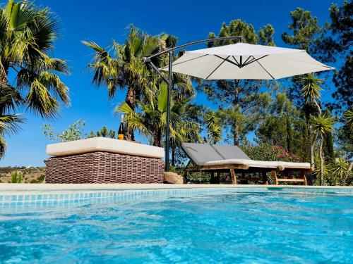 a swimming pool with an umbrella and a chair and a table and an umbrella at Villa a Vida 