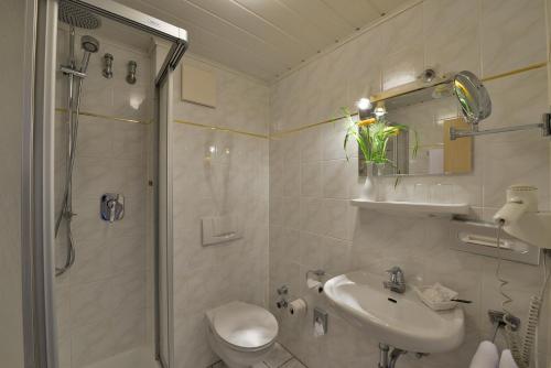 a bathroom with a shower and a sink and a toilet at Hotel zur Post 3 Sterne superior in Altenahr
