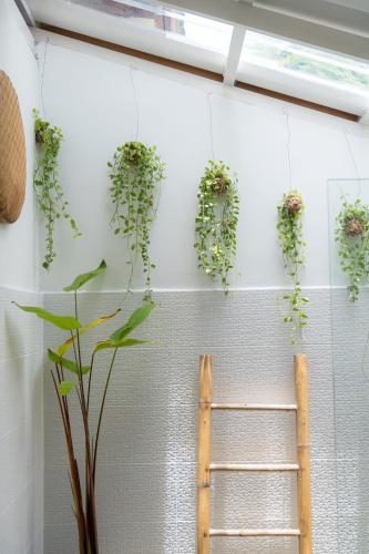 a bunch of plants hanging on a wall with a ladder at Oasis Yoga Bungalows in Ko Lanta