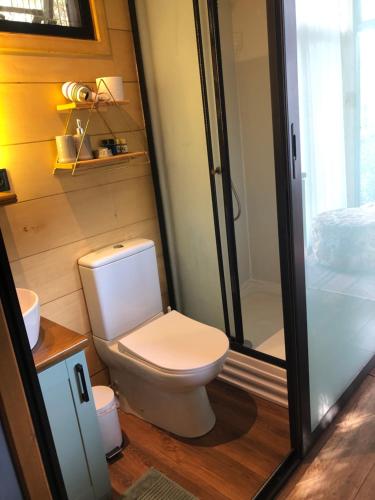 uma pequena casa de banho com WC e chuveiro em Tiny house kayaköy kumquat em Kayakoy