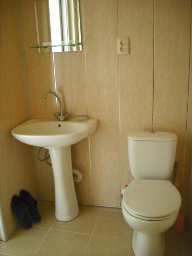 a bathroom with a toilet and a sink at Guest House Econom in Mtskheta