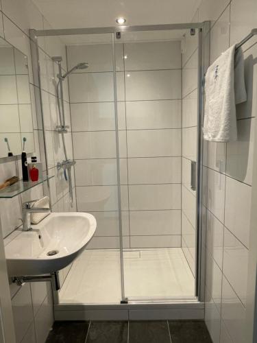 a bathroom with a shower and a sink at vakantieverblijf Marke Lemselo in Weerselo