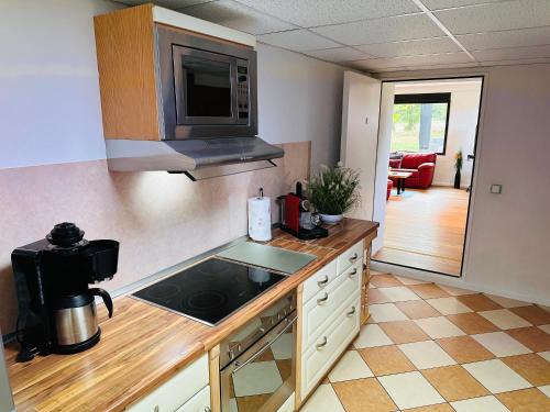 Kuchyň nebo kuchyňský kout v ubytování Premium Ferienwohnung Ulf-Dieter Kunstmann