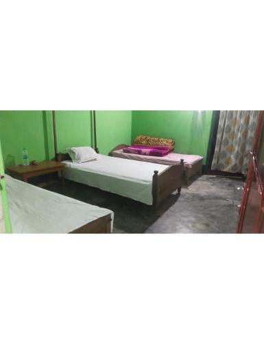 two beds in a room with green walls at Manas Motel Eco Tourist Lodge, Khuthuri Jhar, Assam in Jyoti Gaon