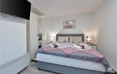 een slaapkamer met een groot bed in een kamer bij Amazing Home In Sedlarica With Heated Swimming Pool 