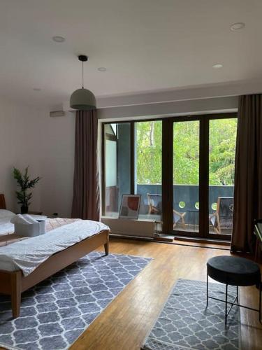 プリシュティナにあるEtern Stays - Serene Apartmentのベッドと大きな窓のある寝室