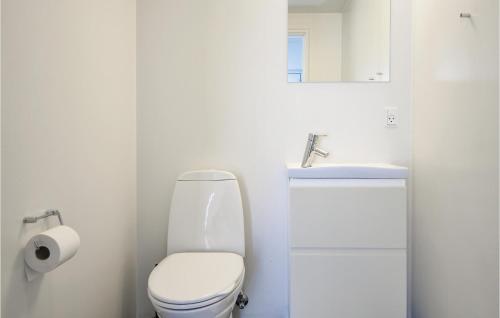 a white bathroom with a toilet and a sink at Amazing Apartment In Ebeltoft With House Sea View in Ebeltoft