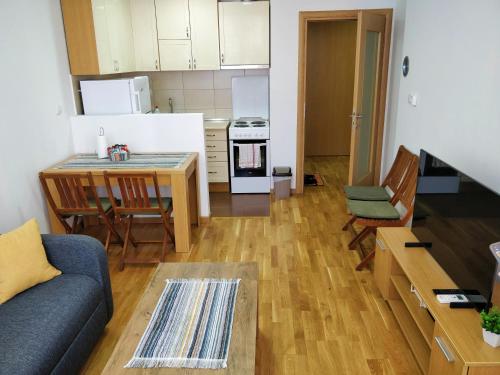 Il comprend un salon avec un canapé et une cuisine. dans l'établissement Felix Apartment Istocno Sarajevo, à Vranješ