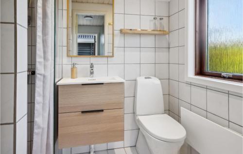 uma casa de banho com um WC, um lavatório e um espelho. em Awesome Home In Ebberup With Kitchen em Ebberup