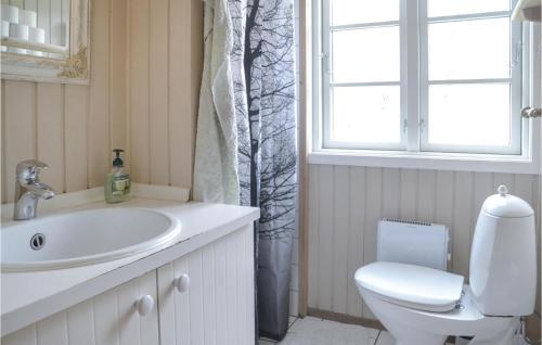 bagno con servizi igienici, lavandino e finestra di 3 Bedroom Nice Home In Sunds a Sunds