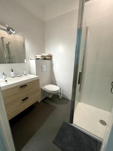 Koupelna v ubytování Superbe appartement cosy avec jardin