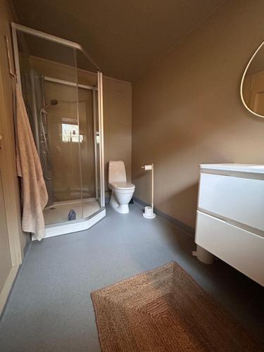 a bathroom with a toilet and a glass shower at Casa Lofoten Ramberg Beach Sauna Surfing Kvalvika Reine in Ramberg