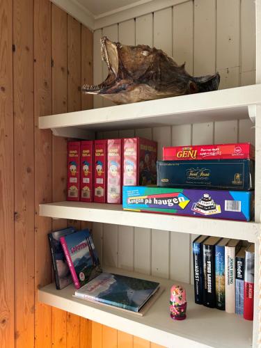 a book shelf filled with lots of books at Casa Lofoten Ramberg Beach Sauna Surfing Kvalvika Reine in Ramberg