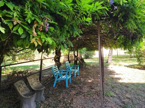 a row of blue benches sitting under a tree at B&B Il giardino segreto in Guarda Ferrarese