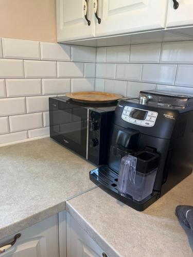a kitchen with a black microwave on a counter at Siedlisko Kępina Zdrój in Ostrów